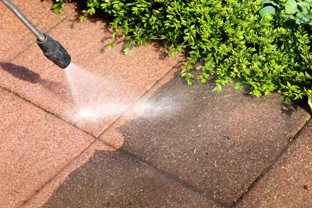 Best Residential Pressure Washing Services  in Clarinda, IA